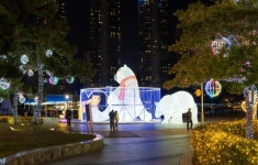 부산 서구 ‘희망의 빛거리’14일 점등식 | 뉴스로