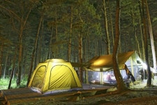 가을엔 캠핑으로 힐링, 동해시가 추천하는 감성 캠핑지 | 뉴스로