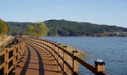 서산시 풍전저수지 둘레길 개장, 시민 휴식·여가 공간 탄생 | 뉴스로