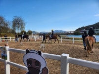 순천 도심승마체험, 3천명 참여 속 성황리 종료 | 뉴스로