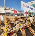 아산시, ‘2025년 충남 좋은가축 선발대회’에서 빛나는 성과 | 뉴스로