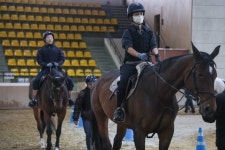 과천시, 한국마사회와 함께 ‘시민 무료 승마 교실’ 운영 | 뉴스로
