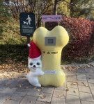 서초구-(주)고려이앤알 업무협약 | 뉴스로