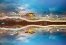 예산을 담는 사람들, 제17회 사진정기전 개최 | 뉴스로