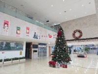 예산군, 군청사 크리스마스 트리 단장… 연말 분위기 선사 | 뉴스로