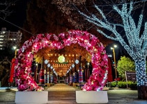 기장군, 정관 윗골공원 ‘빛 거리’ 확대 조성…사계절 빛으로 물든다 | 뉴스로