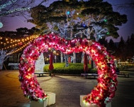 기장군, 정관 윗골공원 ‘빛 거리’ 확대 조성…사계절 빛으로 물든다 | 뉴스로