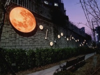 인천 동구, 재능로 야간경관 조성 사업 완료 | 뉴스로