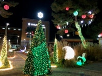 함평군 천지종합복지관, 빛의 정원 조성…도심 곳곳 ‘빛의 향연’ | 뉴스로