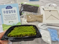 동해시, 2026년 신규 웰니스 체험프로그램 ‘무릉힐링숲 만들기’ 운영 | 뉴스로