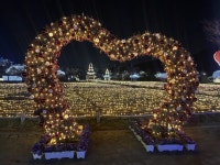 양산시, 제3회 황산공원 불빛정원 운영 | 뉴스로