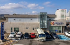 영덕 치매안심센터, ‘함께 하는 치매 돌봄’ 치매 관리 사업 추진 | 뉴스로