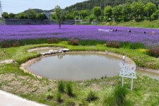 광산구, 걷고 싶고 찾고 싶은 명품길 조성 박차…황룡강생태길30 이어 첨단 둘레길 추진 | 뉴스로