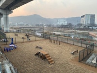 용인특례시, 처인구 경안천 산책로에 반려견 놀이터 확대 조성 | 뉴스로
