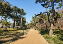 수원시 장안구, 노송공원 내 고보조명과 함께 ‘명품 맨발걷기길’ 조성 | 뉴스로