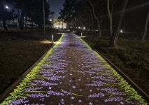 수원시 장안구, 노송공원 내 고보조명과 함께 ‘명품 맨발걷기길’ 조성 | 뉴스로