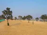 안동시, 2026년부터 파크골프장 시 직영 운영 | 뉴스로