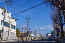 증평군, 삼보초 일원 배전선로 10여년 만에 정비 | 뉴스로