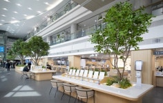 용산구 종합행정타운 민원실, ‘힐링정원’으로 재탄생 | 뉴스로