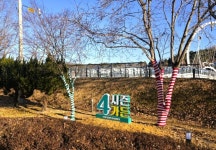 시가지 명품 가로수길 조성으로 도시경관 혁신 | 뉴스로