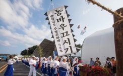 금산군, ‘금산 농바우끄시기’ 국가무형유산 승격 박차 | 뉴스로