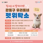 설 연휴 중 반려동물 돌봐드립니다…강동구, ‘우리동네 펫위탁소’ 운영 | 뉴스로