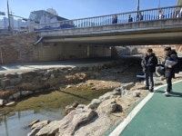 용인특례시 처인구, 금학천·경안천 하천 산책로 로드체킹 | 뉴스로