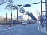 내포신도시 관문 ‘도청대로’, 장송 전정으로 더 안전하고 쾌적해진다 | 뉴스로