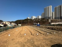 거제시, 2026년 도시민 주말농장 참여자 선착순 모집 | 뉴스로