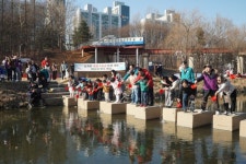 승기천 생태하천 ‘발돋움’…1급수 대표종 버들치 방류 | 뉴스로