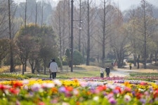 “꽃이 도시를 깨운다”… 순천만국가정원에 봄과 꽃, 사람이 온다 | 뉴스로