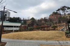 마포구, 쌍룡산근린공원에 사계절 어린이 놀이공간 조성 | 뉴스로