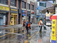 정선군 사북읍, 2026년 봄맞이 깨끗한 사북 조성 나서 | 뉴스로