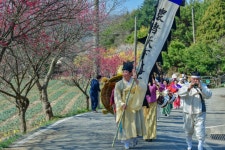 구항 내현마을 수선화축제 성황리 개최 | 뉴스로