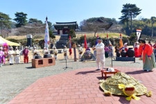 구항 내현마을 수선화축제 성황리 개최 | 뉴스로