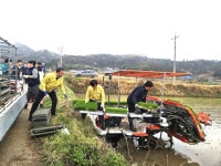 순창군, 풍산면에서 ‘2026년 첫 모내기’ 본격 시작 | 뉴스로