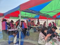 당진시, 제17회 정미면 벚꽃축제 성료 | 뉴스로