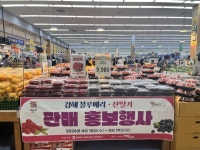 김해 명품 블루베리·산딸기 만나보세요 | 뉴스로