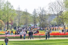 순천만국가정원 관람객 100만 돌파, 지역경제도 활짝 폈다! | 뉴스로