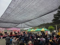 갈산면 원와마을,어르신을 위한 ‘효(孝)잔치’ 개최 | 뉴스로