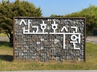 당진 삽교호관광지 호수공원 유채꽃, 바다 추위 이겨내고 5월 만개 | 뉴스로