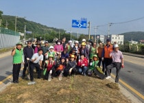 남양주시 진건읍, 자율방재단·용정1리 부녀회와 꽃묘 식재… 쾌적한 도로환경 조성 | 뉴스로