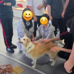 구리시 반려돌봄센터, 삼육고 학생 대상 생명윤리·동물보호 교육 실시 | 뉴스로