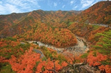 경북울진군 | 뉴스로