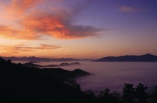 전골의법칙경북도청점 | 경북청도군 | 뉴스로