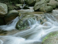 울산 동구 | 뉴스로