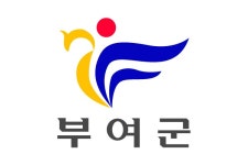 충남부여군 | 뉴스로