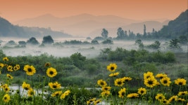 - 산림조합중앙회