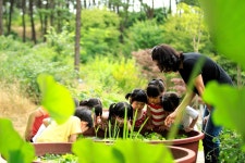 밀양시산림조합(1종) | - 산림조합중앙회
