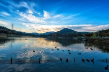 봉화군산림조합(1종) | - 산림조합중앙회